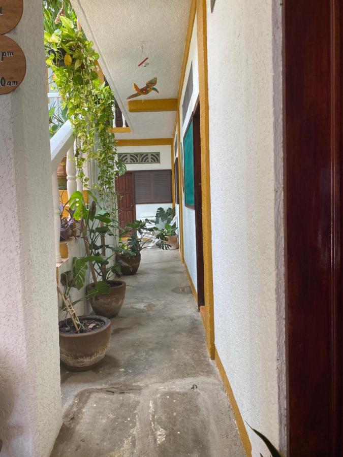 Adoquin Hotel Zipolite Kültér fotó